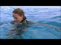 Swimming with wild reef sharks - Shark Therapy - BBC Animals