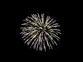 3 Länderkampf Feuerwerk WM Vorentscheid auf dem Hafenfest in Holzminden am 13.09.2008 (Team: Schweiz)
