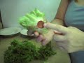 Raw Roll-Ups for Kids and Adults