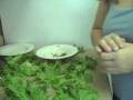 videos de Raw Roll-Ups for Kids and Adults