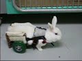 Bunny Wheelchair Bunny Wheelchair