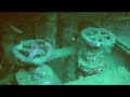 DIVING WITH HIDEAWAY RESORT, PORT VILA, MELE BAY JAN 09