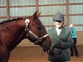 2009 Show Season :)