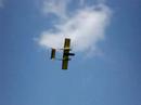 marienk�fer mit 2x roxxy2827-26