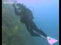 Oil bubbles point to eco disaster in paradise
