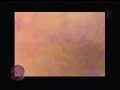 Video extraterrestre explicado por maussan ovni.blogosme.com