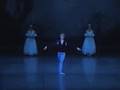 Vladimir Malakhov - Giselle