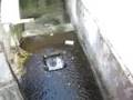 videos de moulin Klepper
