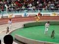monkey race