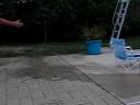 Cy Swims