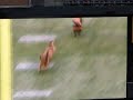 Seahawks vs. Lions -- Halftime Entertainment, Weiner Run--Finish