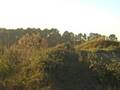 ATV RIDING N CURRITUCK