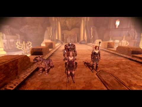 how to know age of dog
