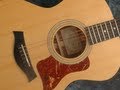 Taylor 214e | Little Martha (Duane Allman) | Mark DiSciullo