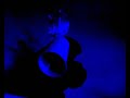 identit� come se stessi.. se stessi come creativit�.. creativit� come cera..cera come mondo.. un mondo soggettivo ed unico per ognuno di noi.
francesco brocato
isia firenze: esame 