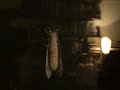 Insecto Gigante