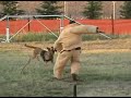 malinois belit malinois belit