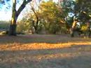 Raas Adelaide trip 2008 part II