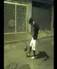 Freestyle Freestyle
