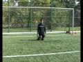 videos de Nemanja Pandzic Goal Keeper practice