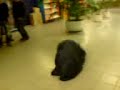 Filpmpje Leonie 3 Filpmpje Leonie 3