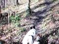 videos de bike-jor Lady Spring wood