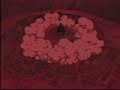 FLCL AMV - Carnival
