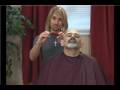 Van Dyke Goatee: Care & Coloring : Van Dyke Goatee: Trimming & Shaping Interior