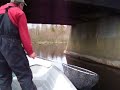 Dipping Ducks