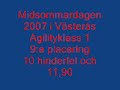 Agilitymidsommar 2007