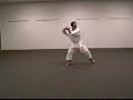 Roy Hobbs - Kushanku (seidokan shorin ryu)