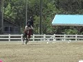 Colleen and Covert Rights, Dressage -- CCI*, 2012 Spring Virginia Horse Trials