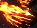 Thallen burned and pissed on