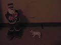 the-polar-bear.html