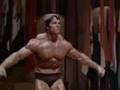 ronnie against arnold