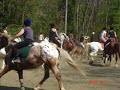 cours du samedi centre equestre de th�nes