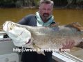 Barramundi
