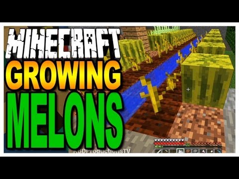 how to harvest melons in minecraft xbox 360