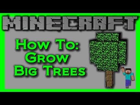 how to grow a big tree in minecraft xbox