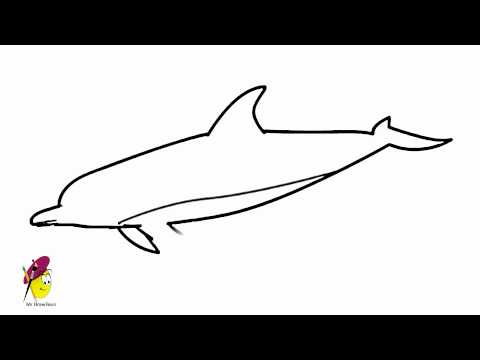 how to draw aquatic animals