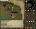 Dark bow drops