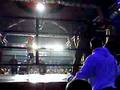 Gatuno MMA 2