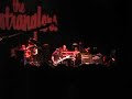 stranglers: rattus at the roundhouse - go buddy go