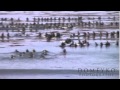 Jay Moriarity Funeral Footage
