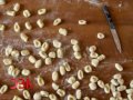 Programa N° 210: 23 de septiembre 2012: Historias de la Hotelería y la Gastronomía...