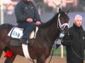 Super Saver Wins the Kentucky Derby