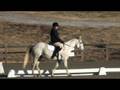 videos de Lisa Dolny doing Dressage at Poplar Place Farm