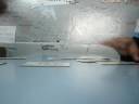 Ching (Flor 1- Mica 1)