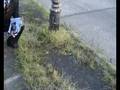 videos de Rubbish TV - Flamborough Close, Shard End