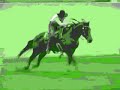 Equestrian mix-Disturbia
